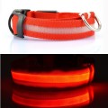 LED Nylon Pet Neck Collar Night Safety red